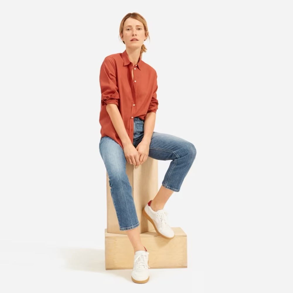 Everlane Relaxed Air Shirt in burnt sienna
